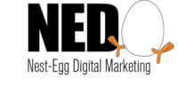 NED Logo.png